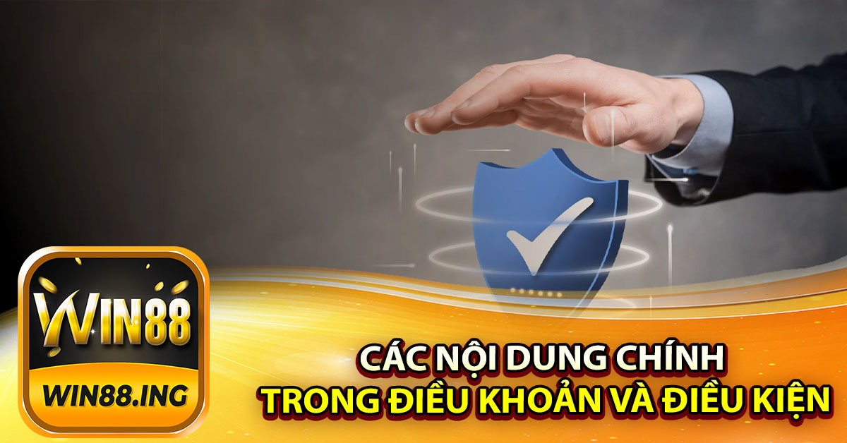 Các nội dung chính trong Điều khoản và Điều kiện